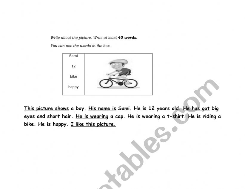 describing picture  worksheet