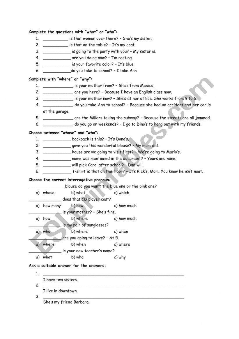 Wh-questions worksheet