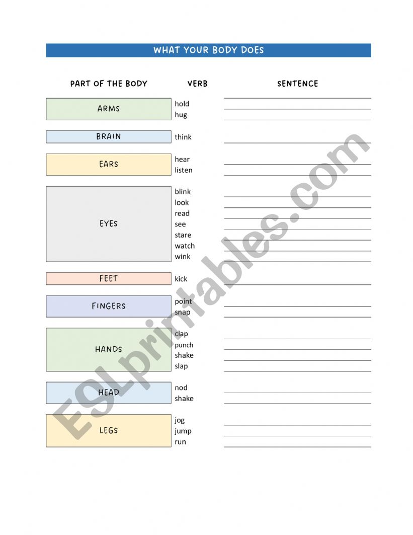 What your body does worksheet