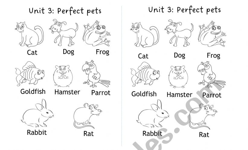 My Pets worksheet