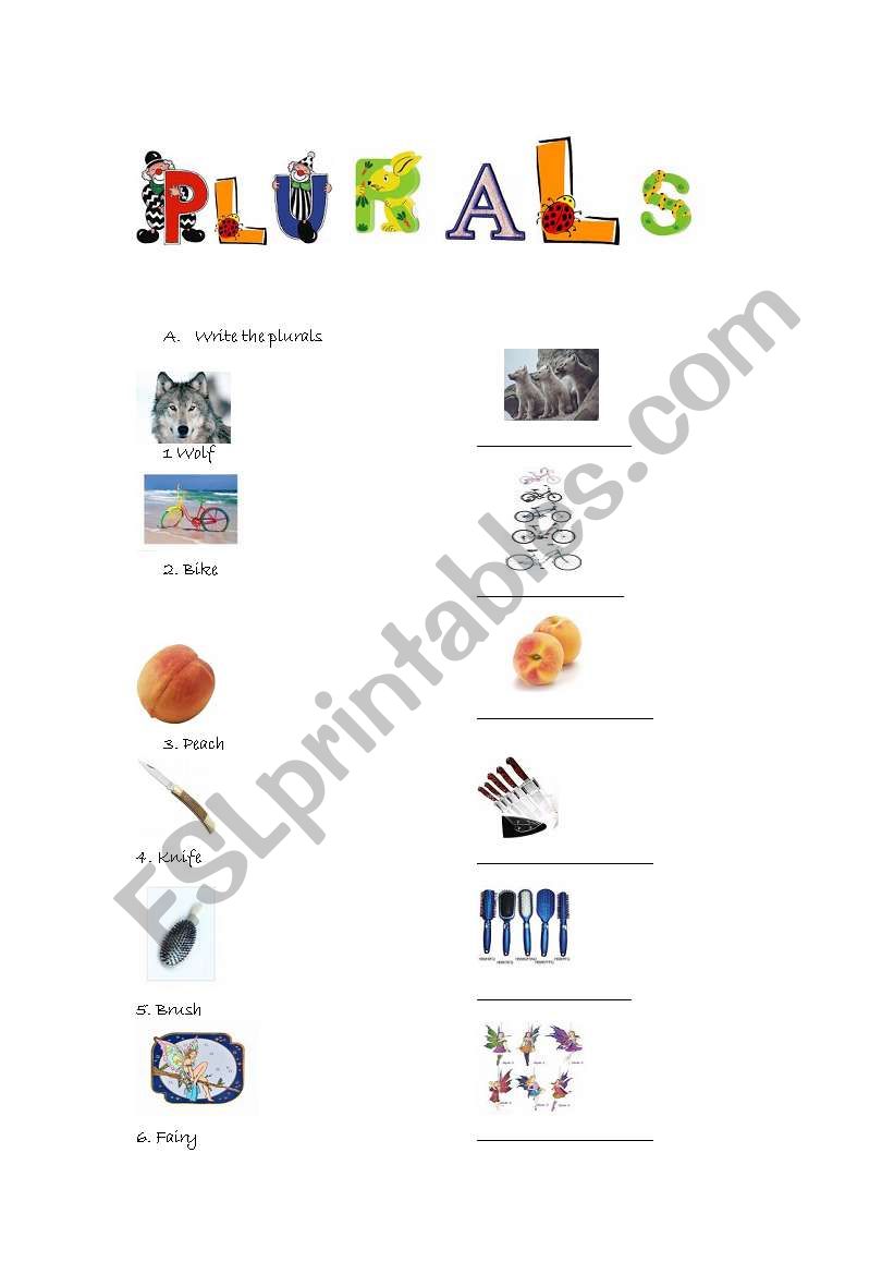 PLURALS worksheet