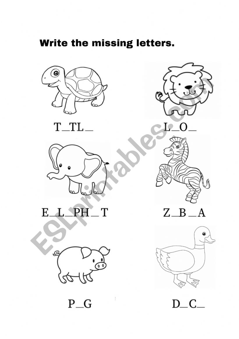 Animal worksheet