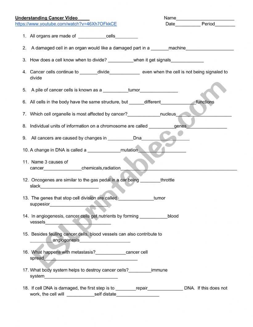 Understanding Cancer worksheet