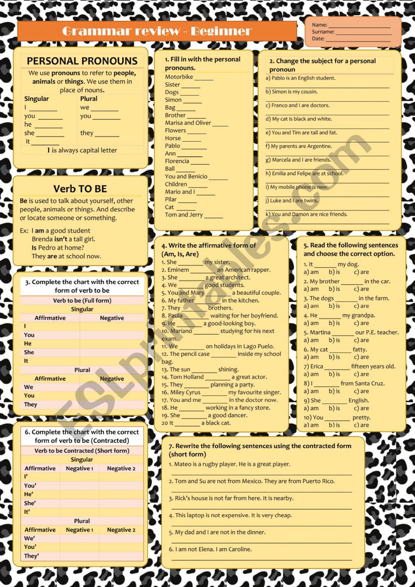 Grammar Review Beginners  worksheet