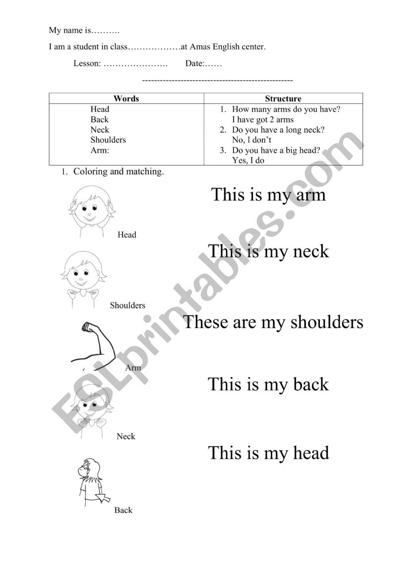 body parts worksheet 2 worksheet
