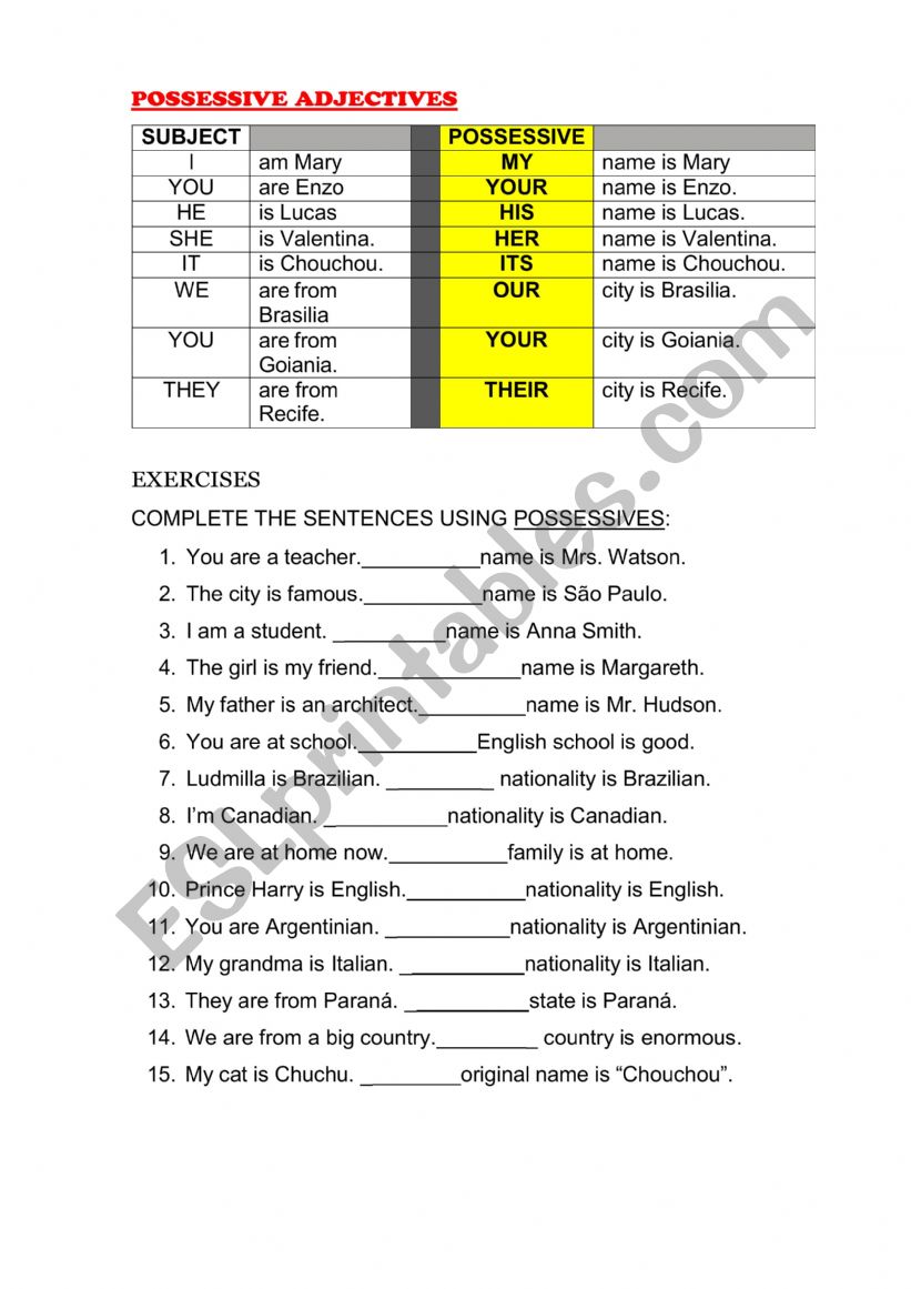 Adjective Possessives worksheet