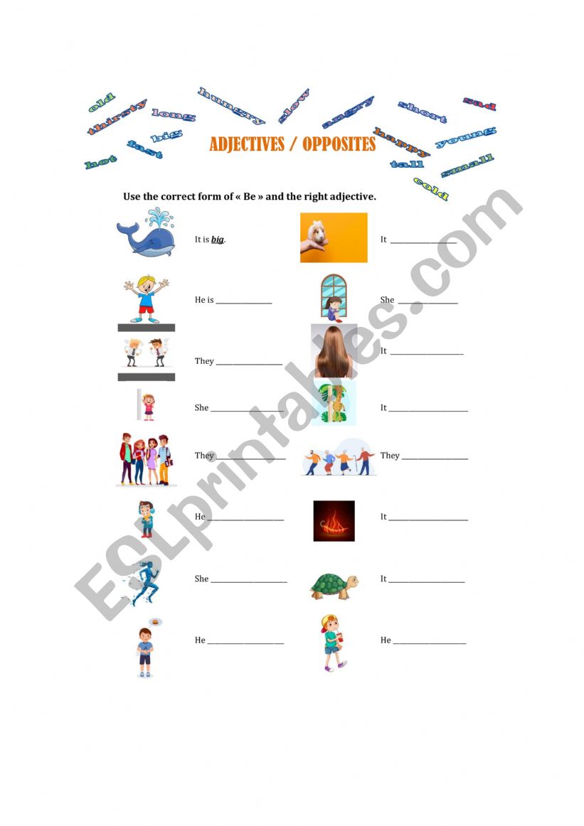 Basic adjectives and opposites