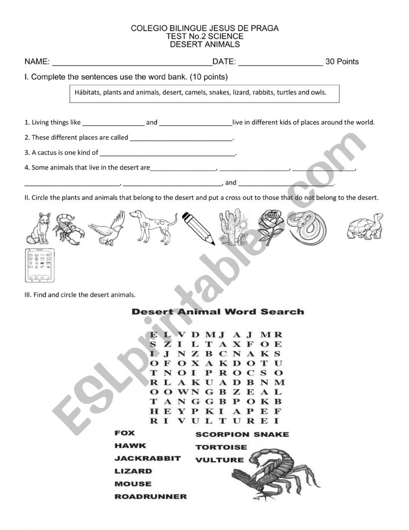 Desert animals worksheet