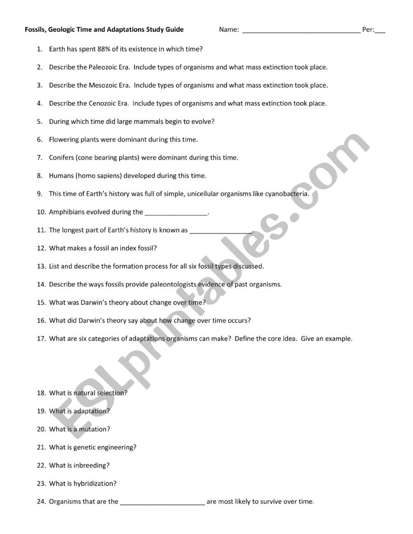 Fossils worksheet