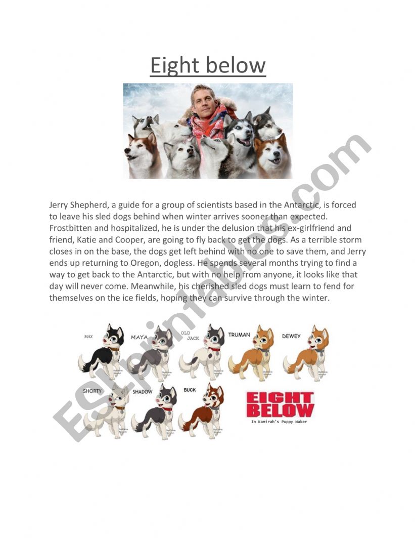 Eight Below Film - question worksheet
