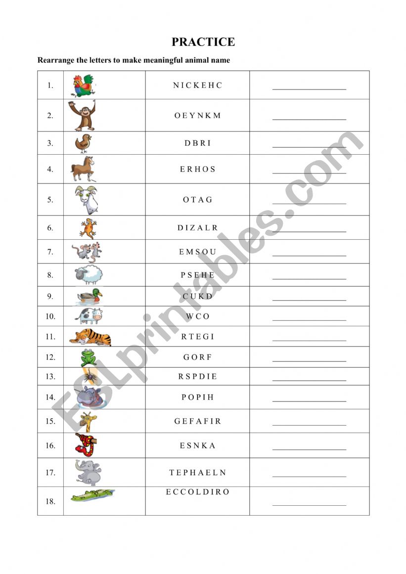 Animal worksheet