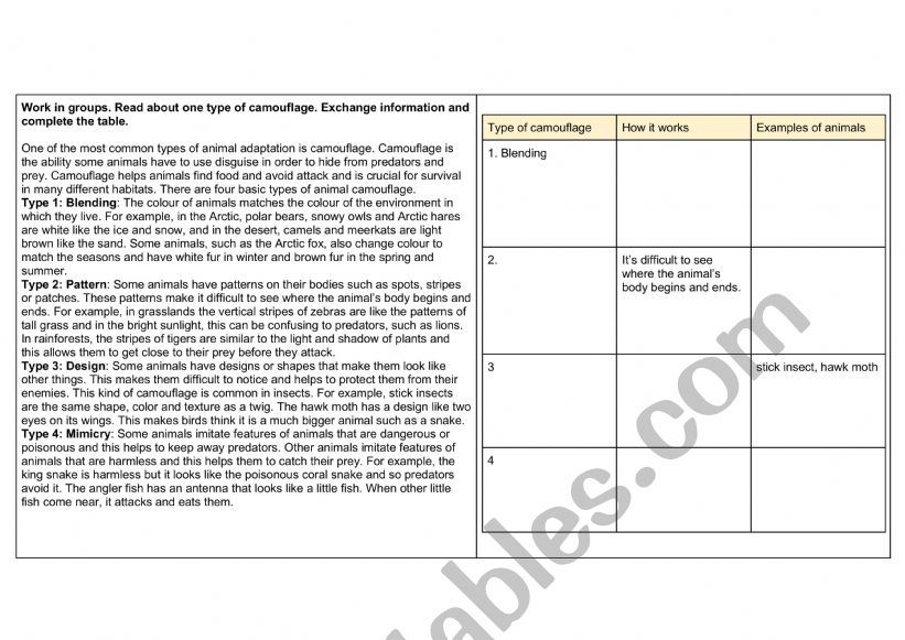 Animla camouflage worksheet