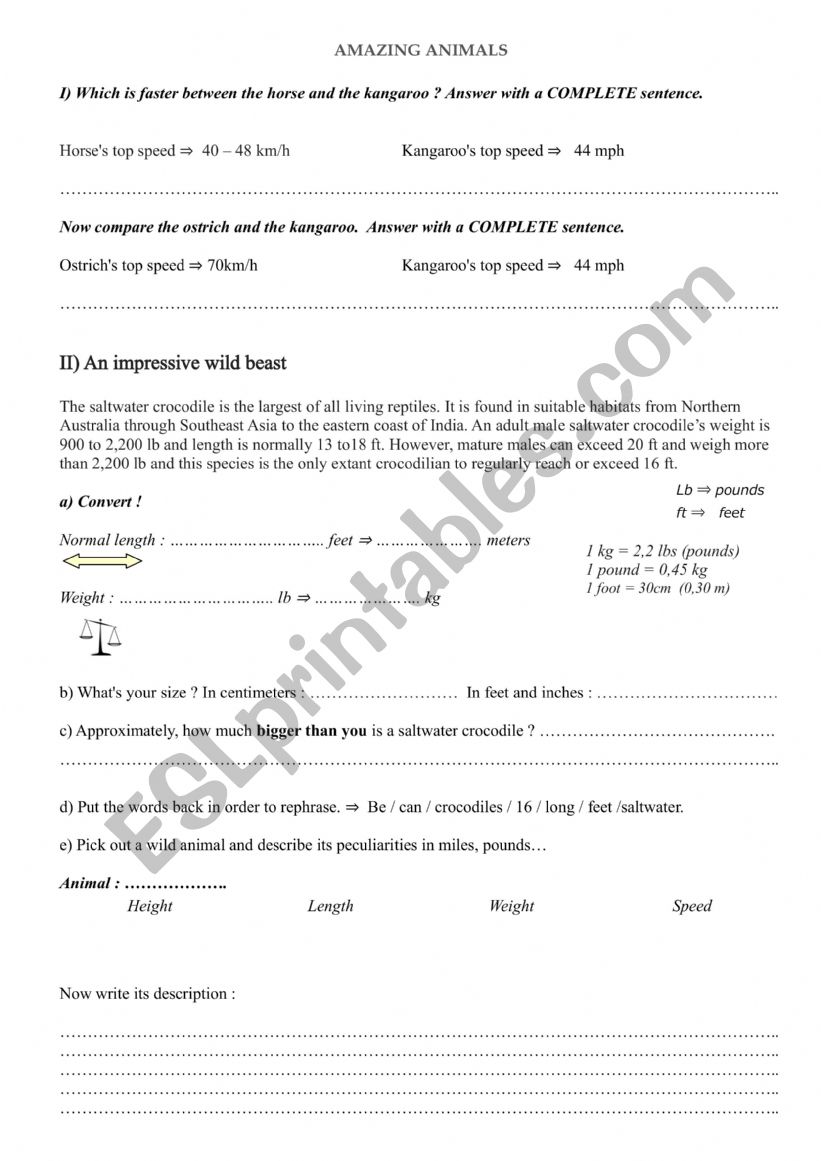 Amazing animals worksheet