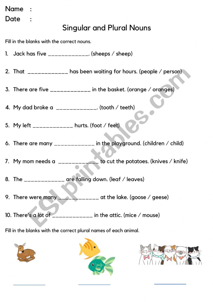 Singular and Plural Nouns worksheet
