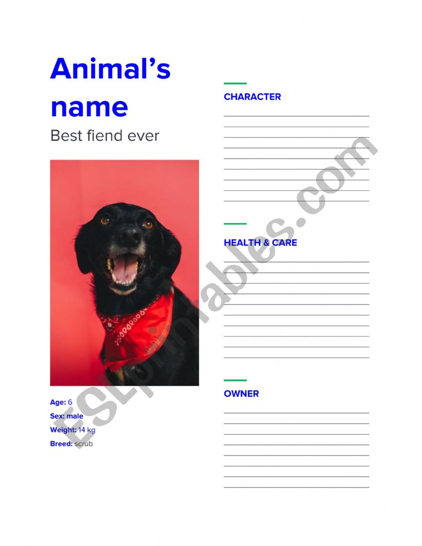 Animal�s CV worksheet