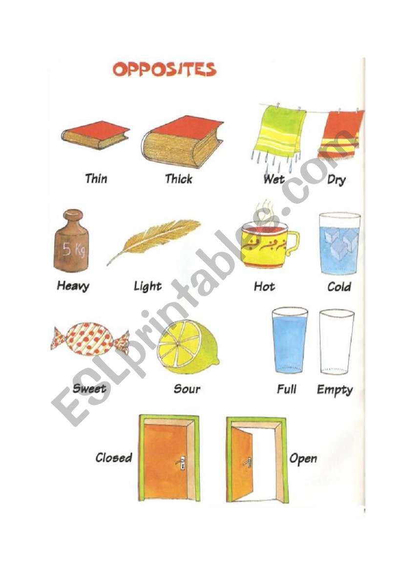 opposites worksheet