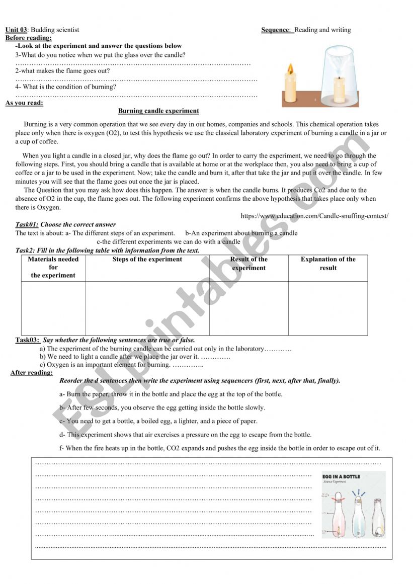 Budding scientist worksheet