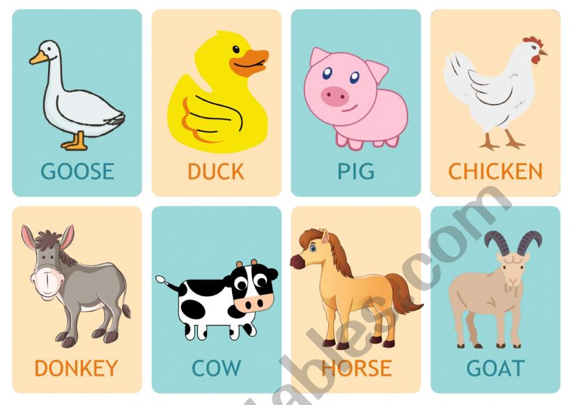 Farm animals and shadows worksheet