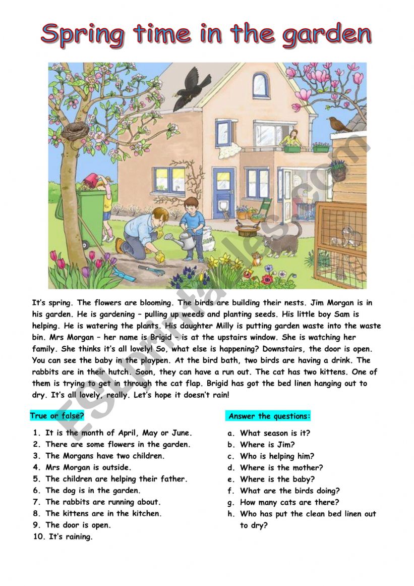 Spring in the garden worksheet