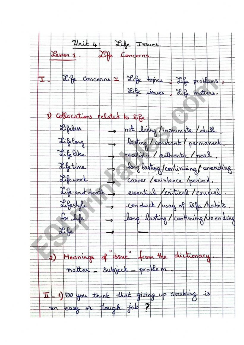 Lesson 1- Life Concerns worksheet