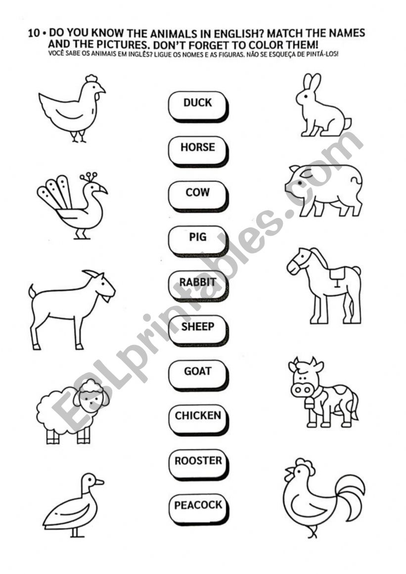 farm animals  worksheet