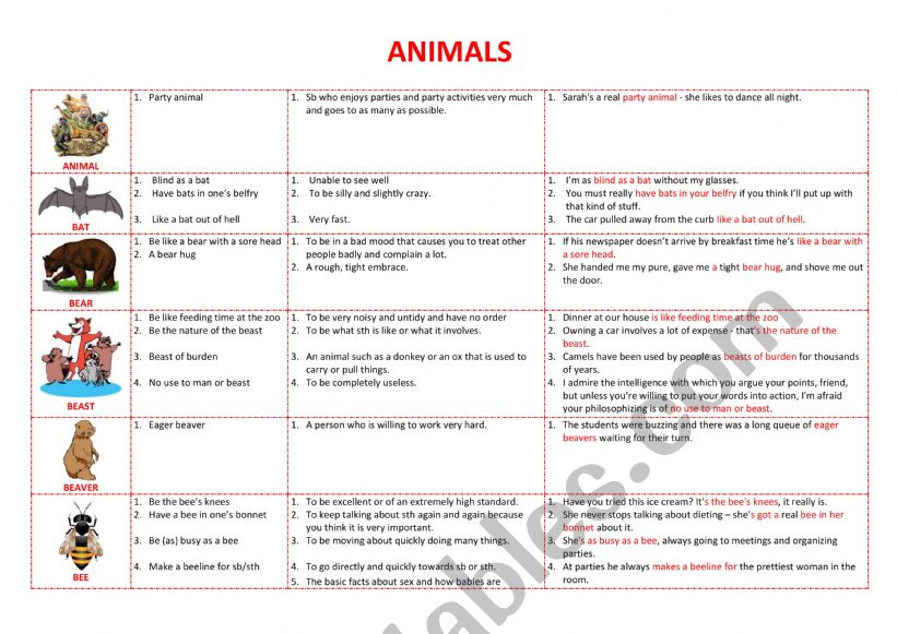 Animals Idioms worksheet