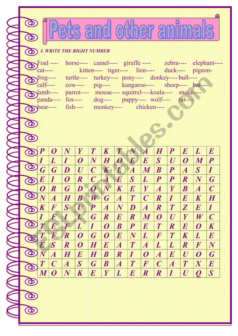 pets worksheet