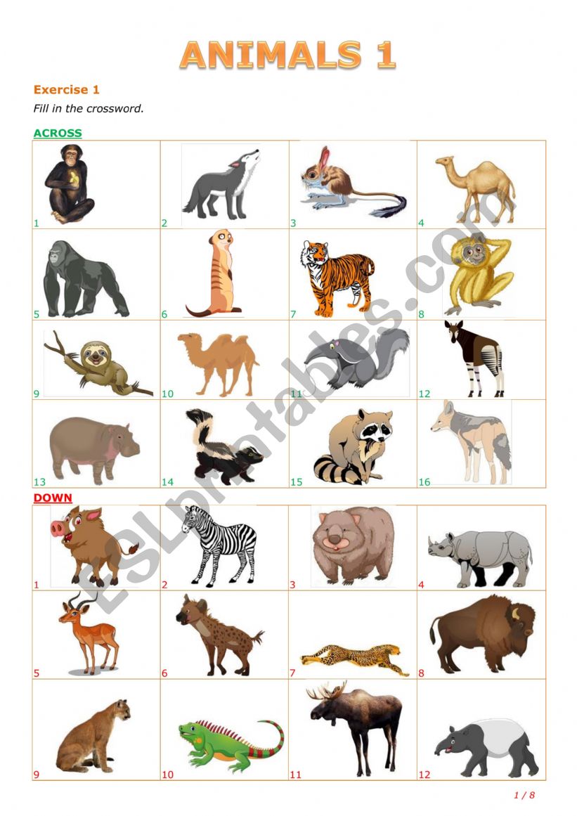 Animals 1 worksheet