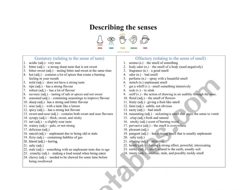 Vocabulary Used to Describe the Five Senses