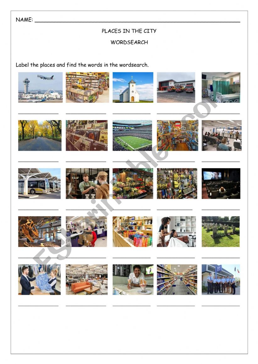 PLACES IN THE CITY WORDSEARCH worksheet