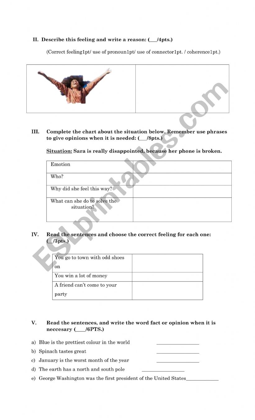 feelings and opinions worksheet