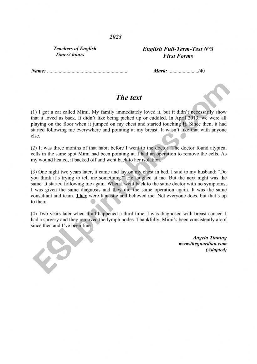full term test n3 first forms 