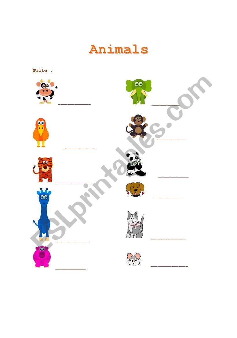  Animals worksheet