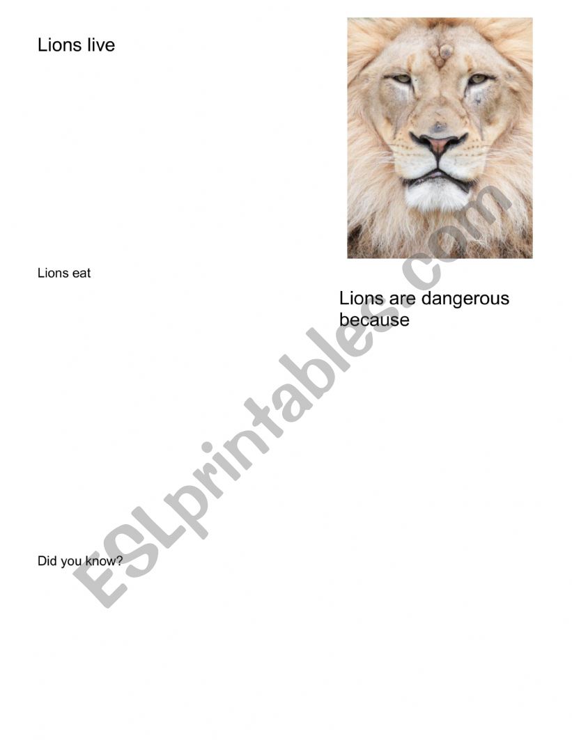 Lion witch and warrobe worksheet