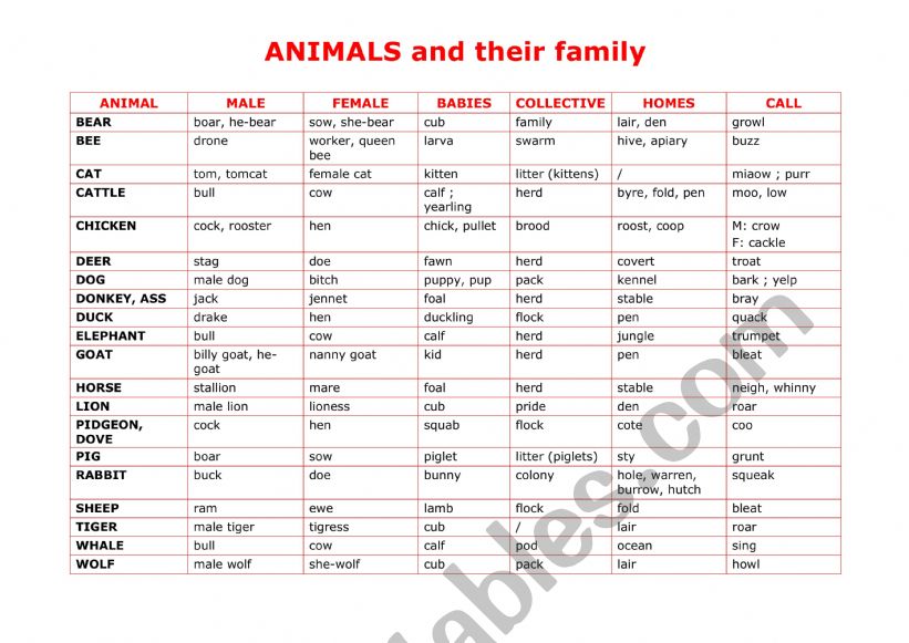 Animals and their Family worksheet