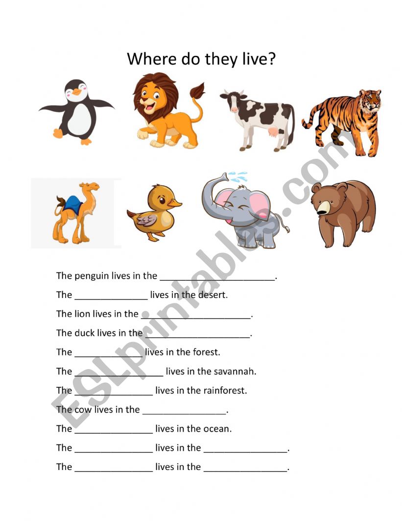 Animal Habitats worksheet