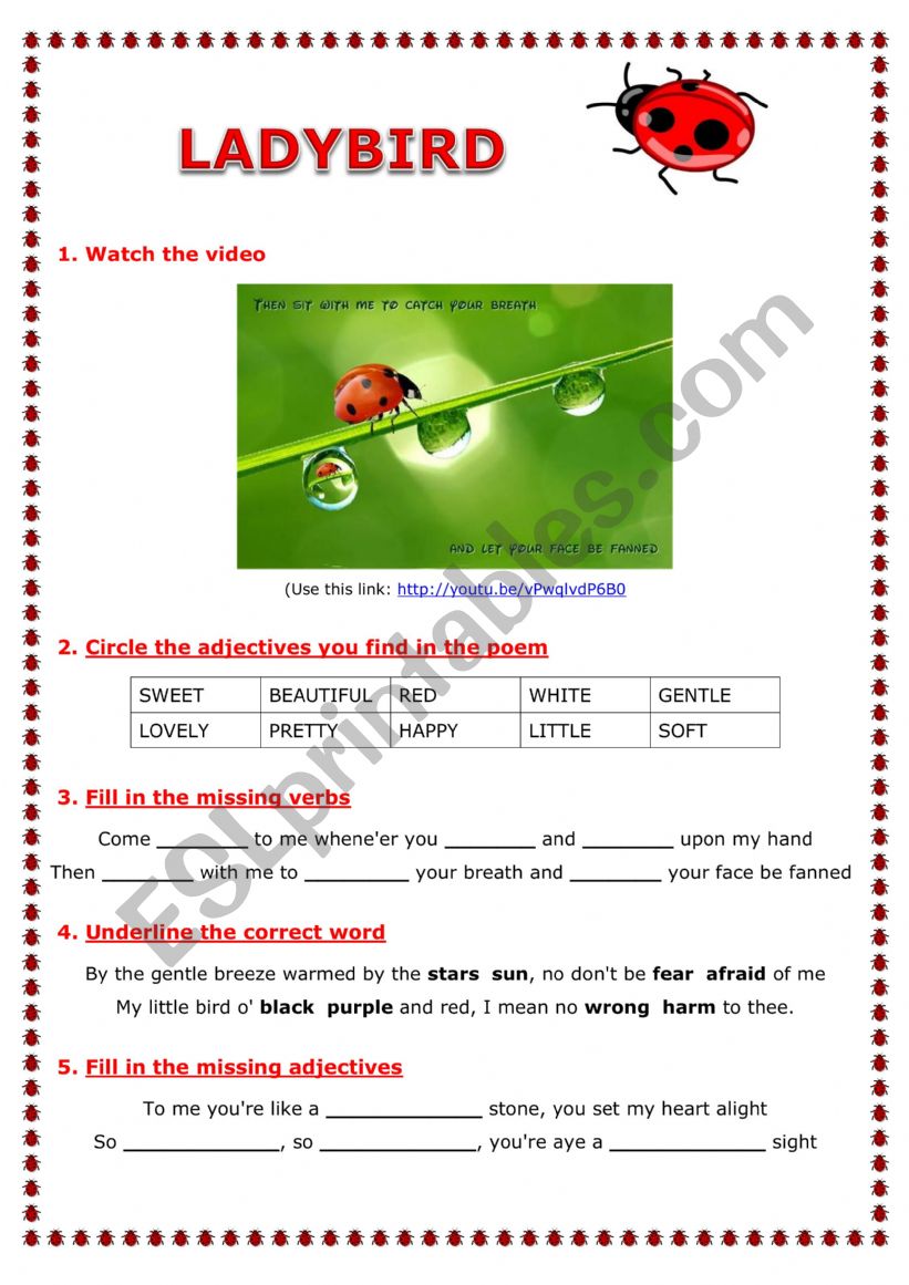 Ladybird worksheet