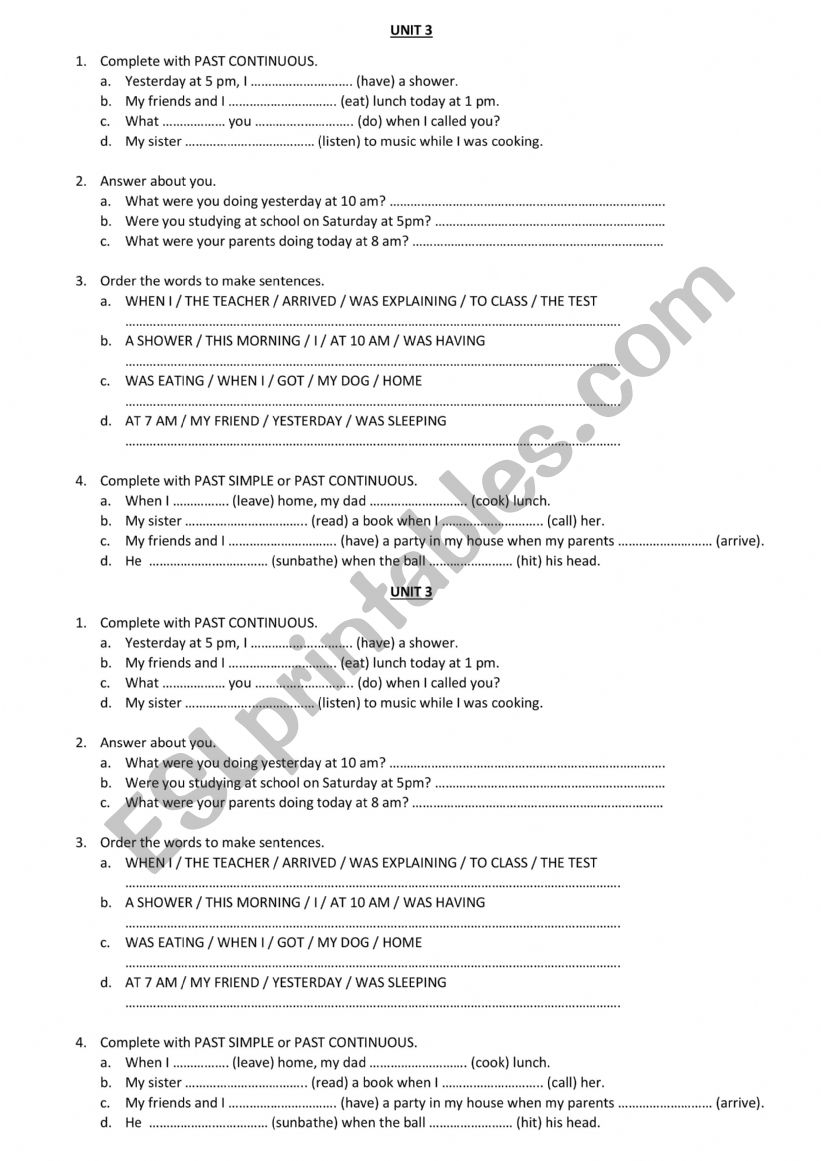 PAST SIMPLE AND CONTINUOUS worksheet