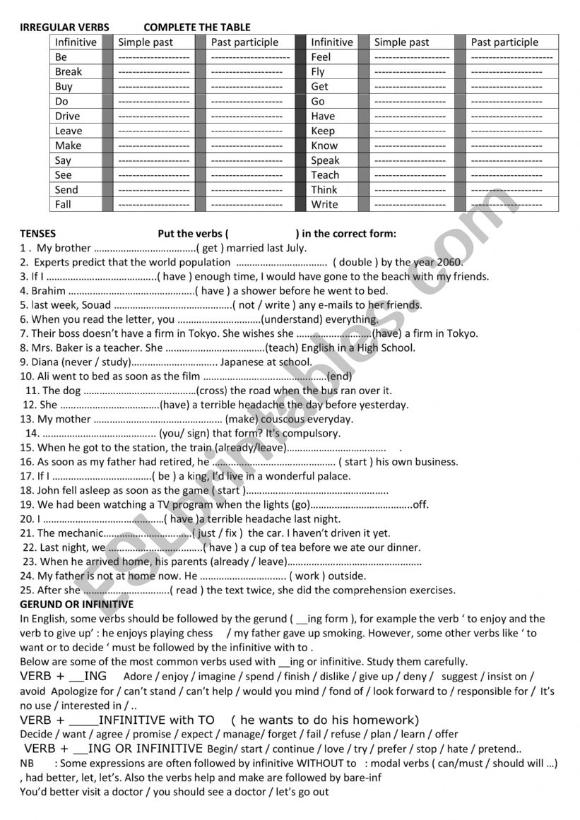 grammar review  worksheet