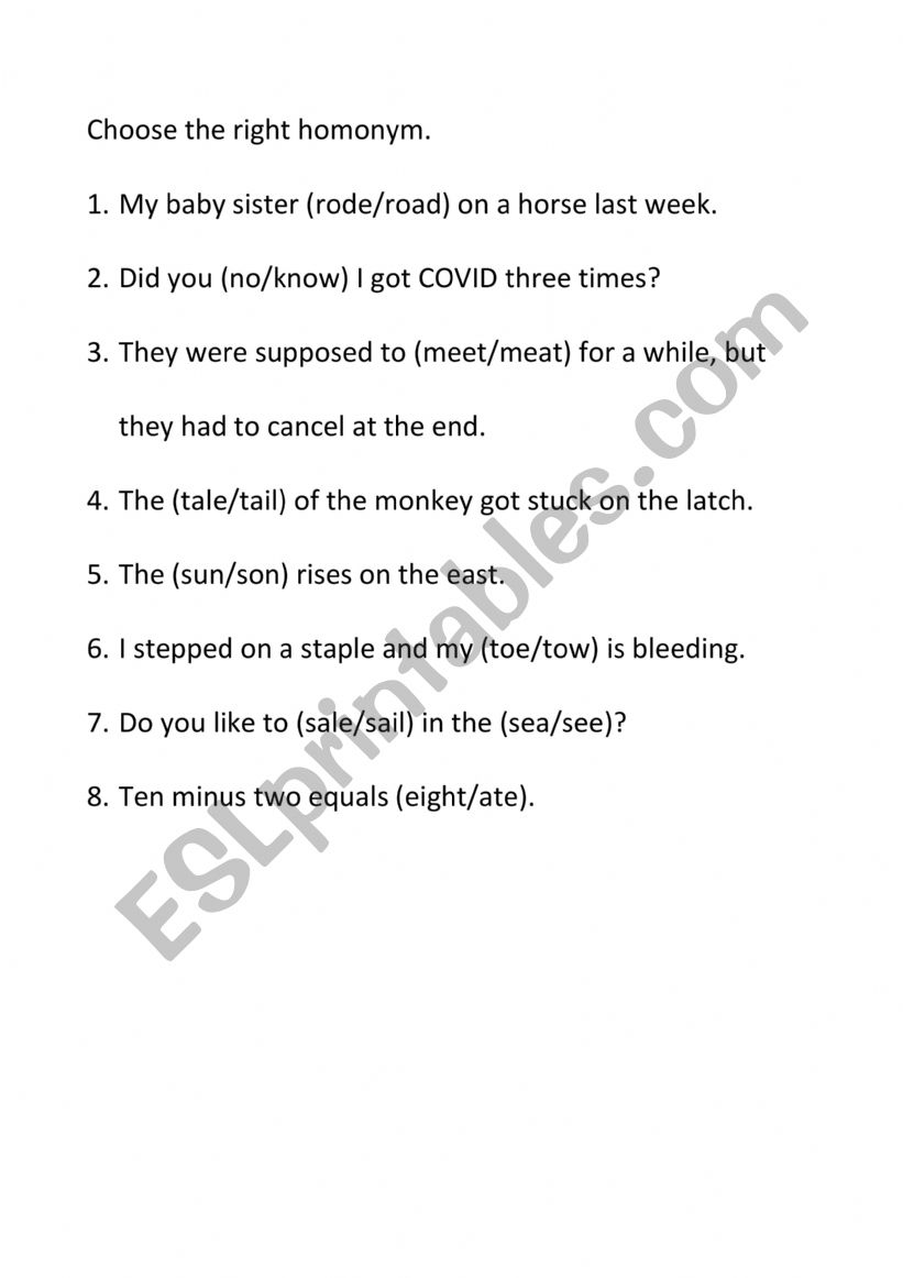 Homonym Practice worksheet