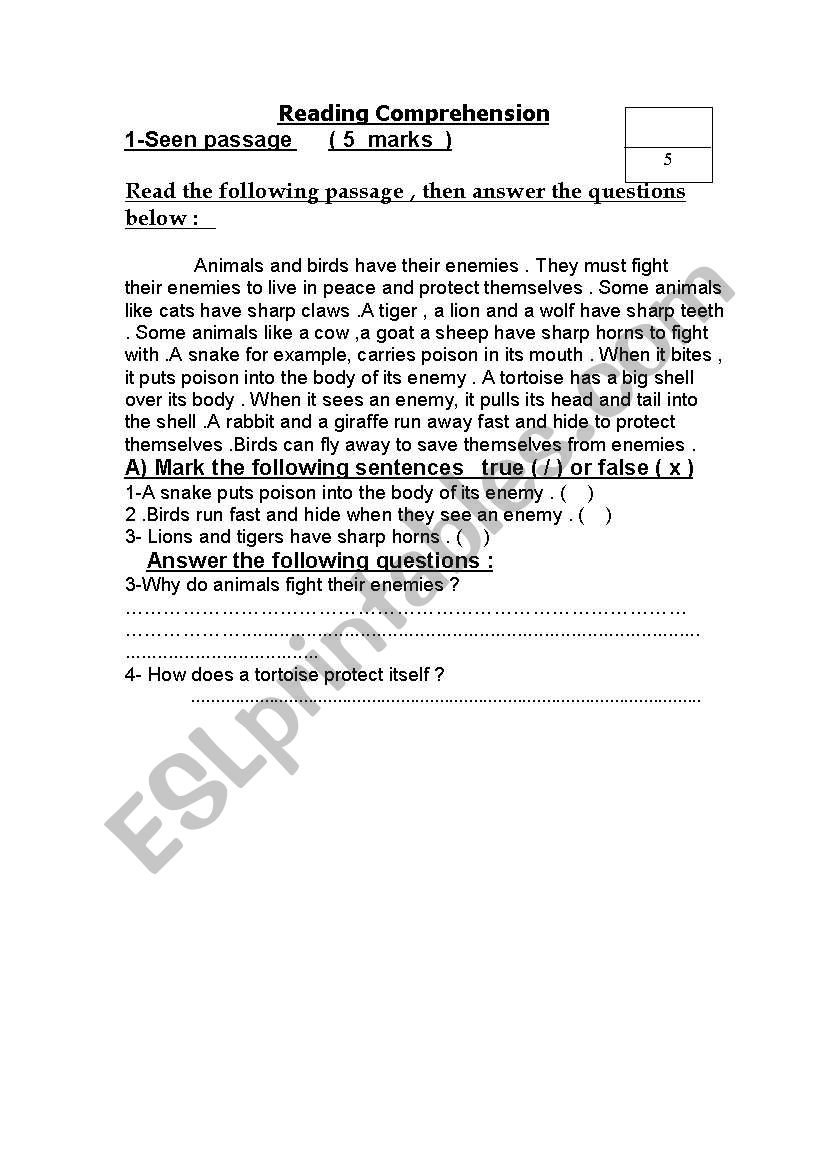 Reading Comprehension worksheet