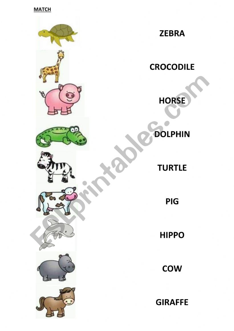 Match the animals worksheet