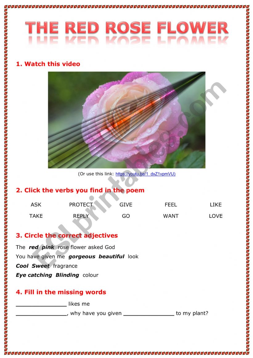 The Red Rose Flower worksheet