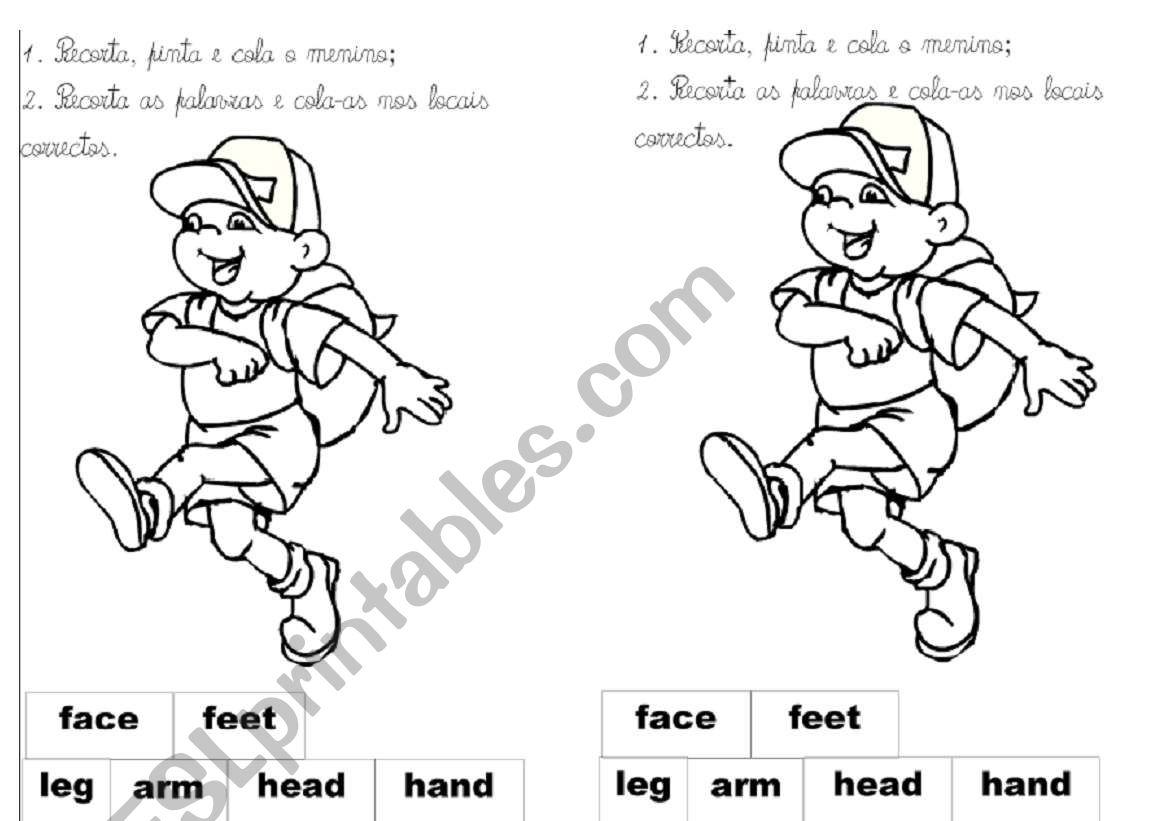 Parts of the body worksheet