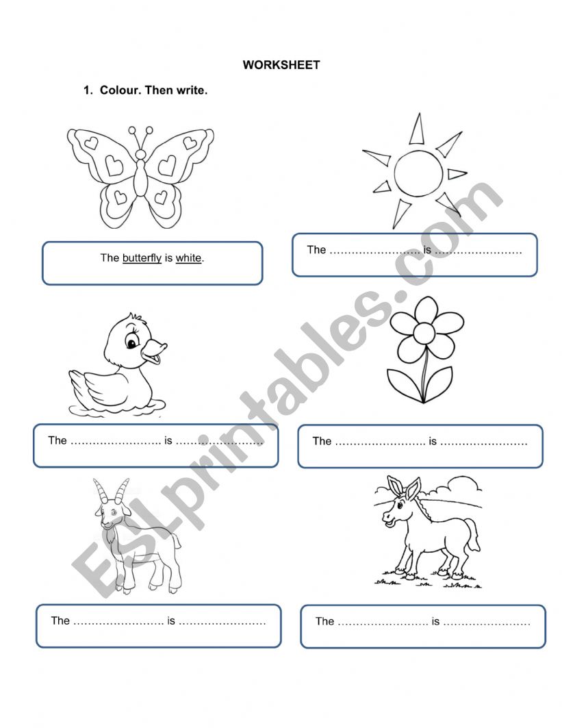 First Friends Unit 6 Review worksheet