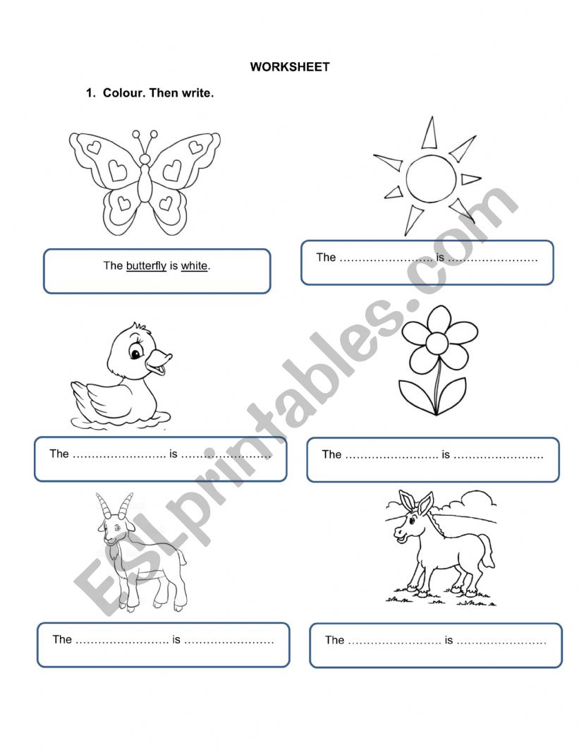 First Friends Unit 6 Review worksheet