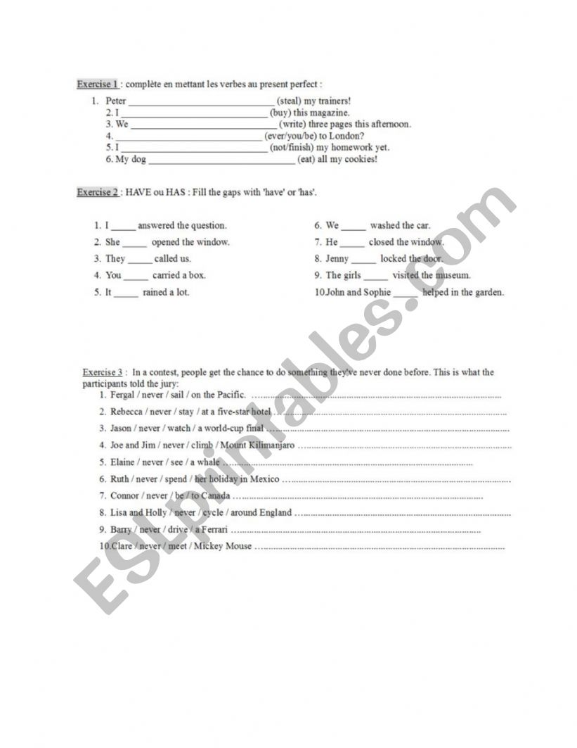 Present perfect worksheet worksheet