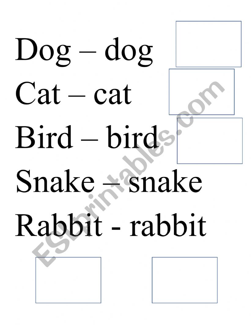 Pets for kindergarten worksheet