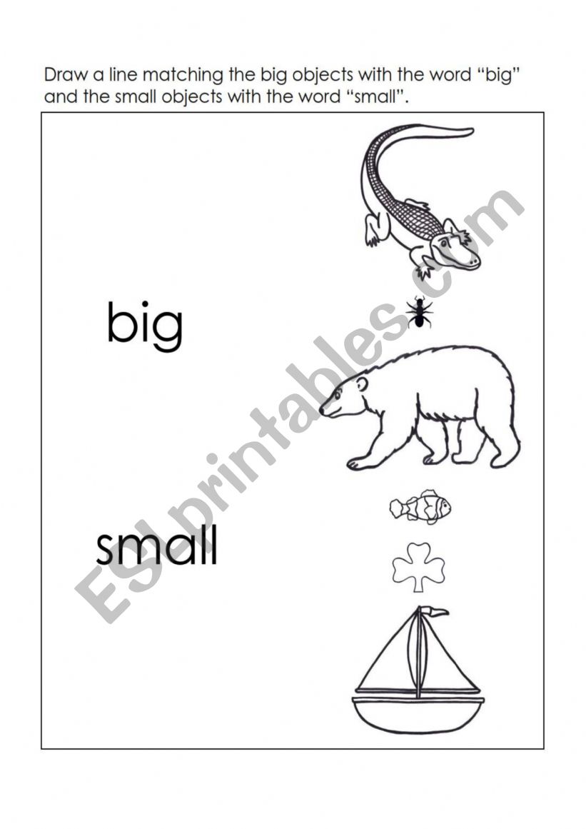 Big and Small - ESL worksheet by ashok321