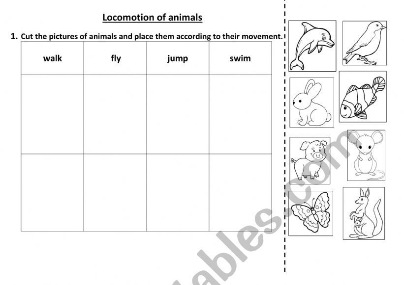 LOCOMOTION OF ANIMALES - FIRST GRADE